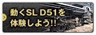 SL D51̌悤II