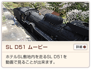 SL D51[r[FzeSL~n𑖂SL D51𓮉Ō邱Ƃo܂B